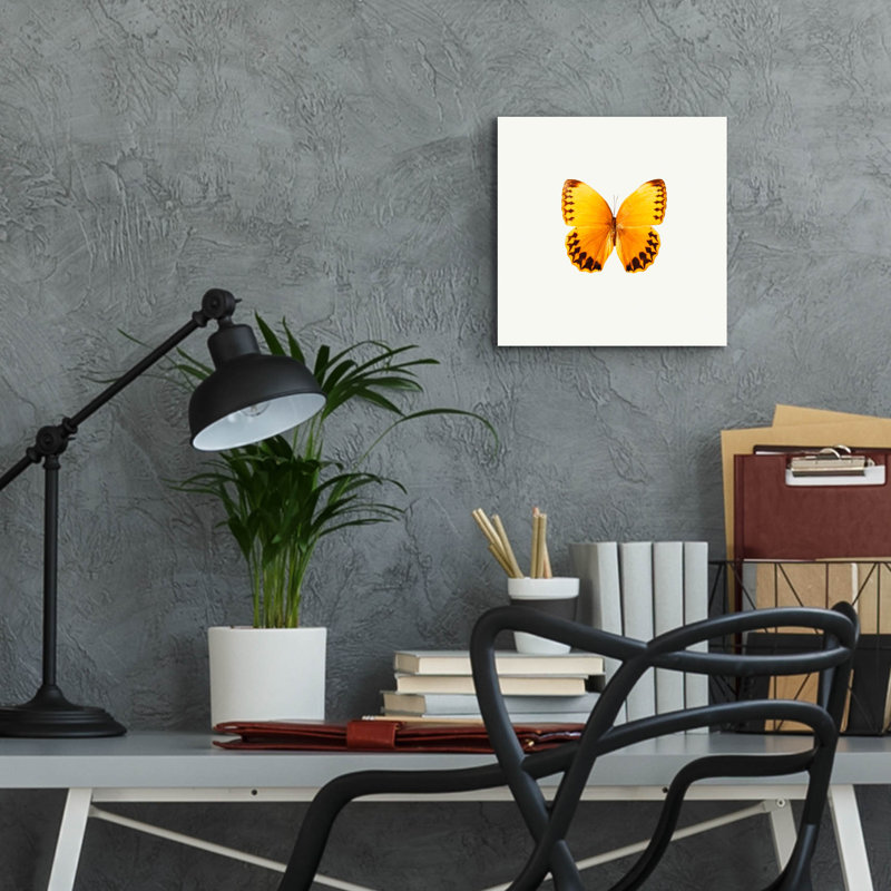 «Yellow Butterfly 2» par Photoinc Studio, art mural en verre acrylique, H 12 po x l 12 po x P 0,13 po