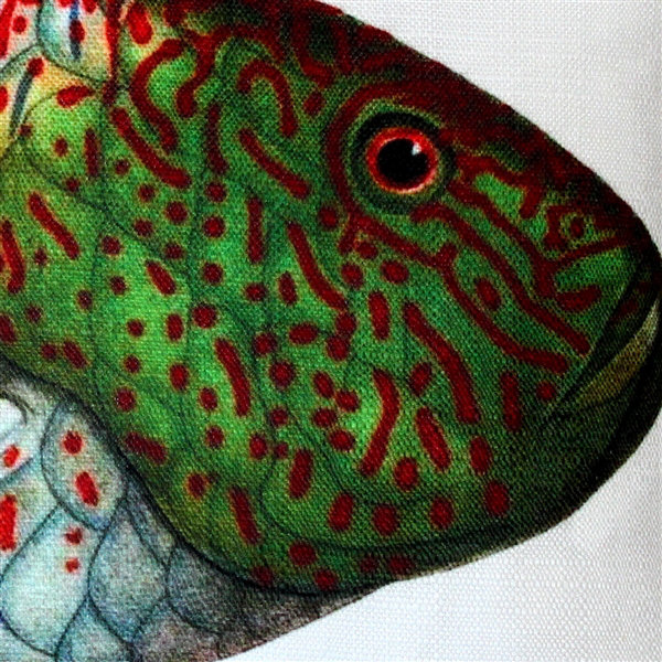 Wrasse Fish Animal Print Reversible Throw Pillow