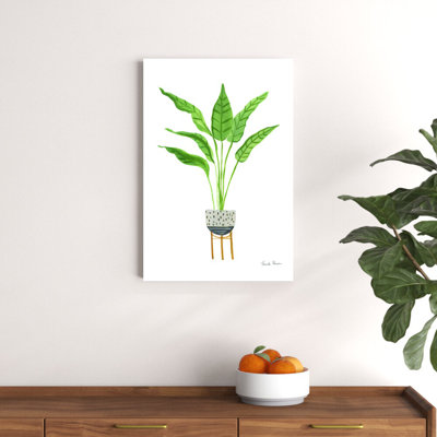 Green House Plants III