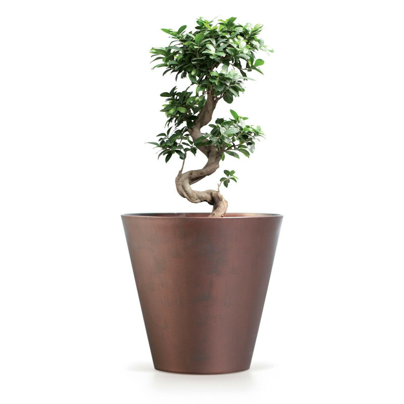 Karan Pot Planter, 19cm H x 20cm W x 20cm D