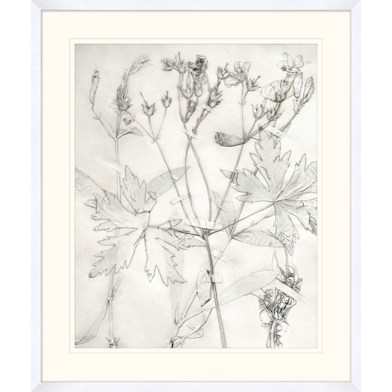 Painted Pressed Floral 2 Print
