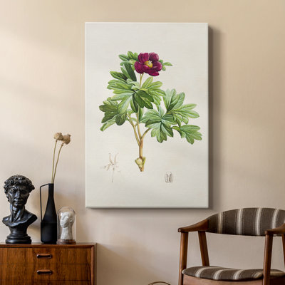 Pretty Pink Botanicals III - Gallery Cavas