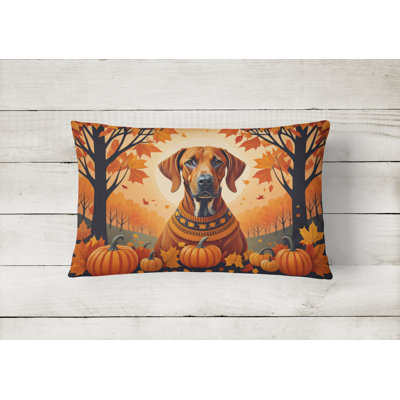 Other/No Pattern Throw Pillow