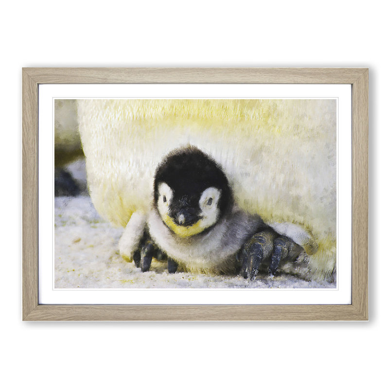 Baby Penguin - Picture Frame Painting, Oak Framed, 48cm H x 65cm W x 2cm D