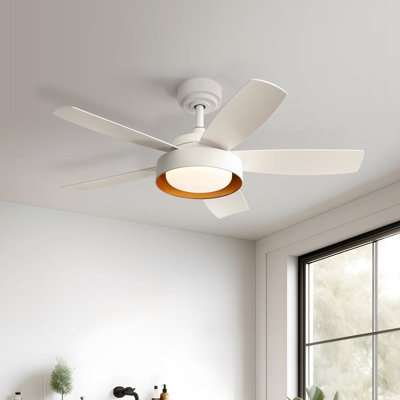 107CM Ceiling Fan with Remote Control and LED Lights