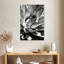 Harnek noir Arizona - Agave-108440109