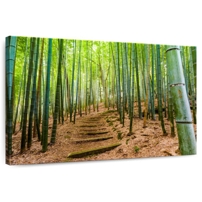 Alvord Iconic Kyoto Bamboo Forest