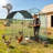 Walk In Chicken Run