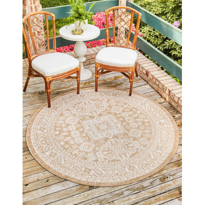 Tapis intérieur / extérieur Danera Southwestern