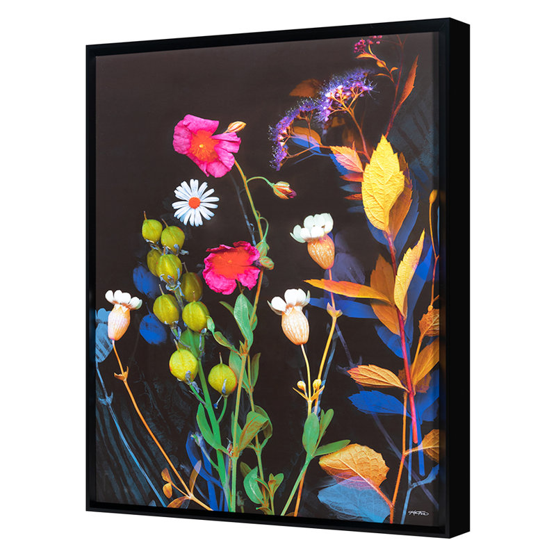 Wildflower Collection 2 Print by Katie Todaro, Black Framed Paper