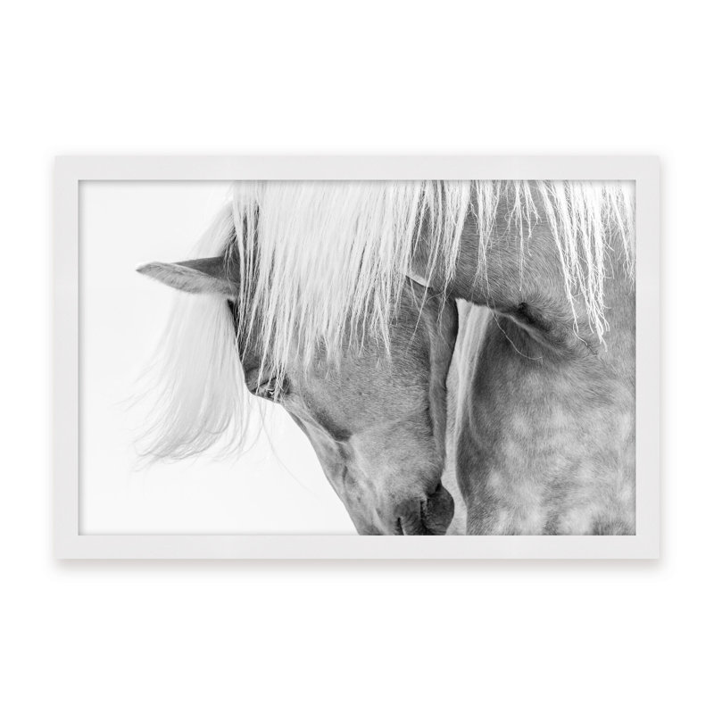Nature Inspired Halflinger Portrait by  - Picture Frame Photograph on Paper, Black, Framed Canvas, 16" H x 24" W x 2.375" D