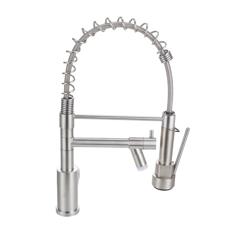 Belfry Kitchen Pull Out Kitchen Faucet, Silver