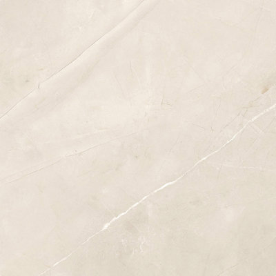 Magi 12" x 24" Polished Tile