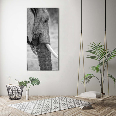 Horse In Flames - Wrapped Canvas Print