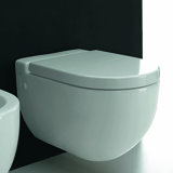 One Evolution 1.28 Gallons GPF High Efficiency Dual Flush Wall Mounted Kit