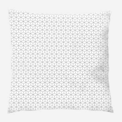 Coussin décoratif transparent