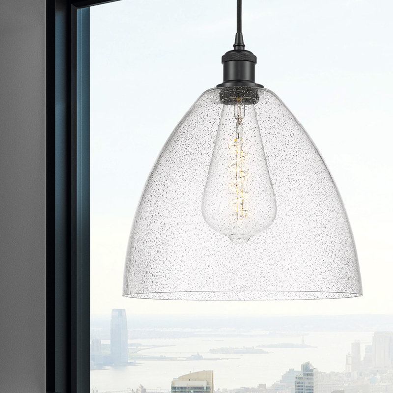 Luminaire suspendu en forme de dôme à 1 lumière Haide, H 14,75 po x l 12 po x P 12 po, Ampoule non incluse, Noir mat