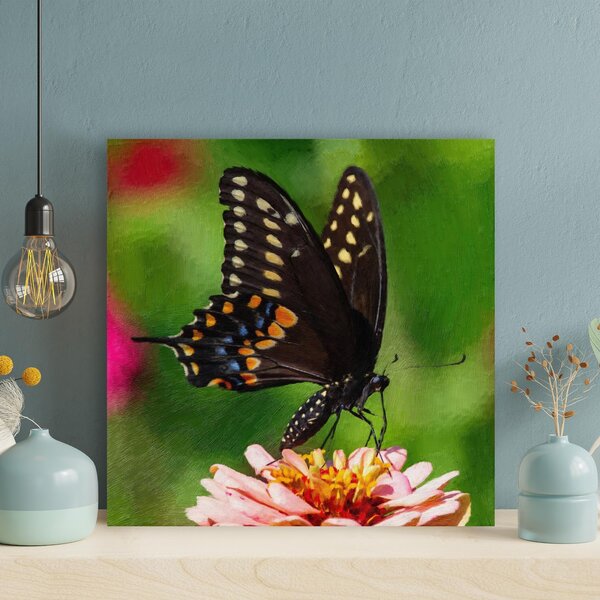 Rosalind Wheeler Black And White Butterfly On Yellow And Pink Flower On ...