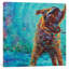 « underdog blues », reproduction d’art sur toile tendue-18921783-74297407-74297409