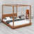 Brown est en rupture de stock