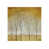 Plexi