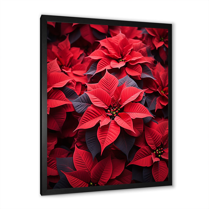 Poinsettias festive - impressions murales florales et botaniques, Cadre photo noir, H 32 po x l 16 po x P 1 po
