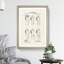 Toilet Roll Patent - Framed Print-62806489-62806508