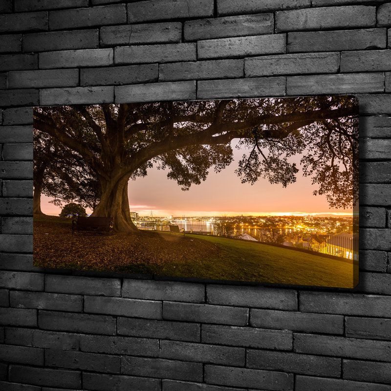 Old Tree - Wrapped Canvas Print