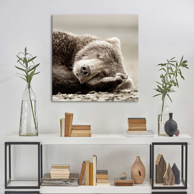 "Sleeping Bear" par Danita Delimont, reproduction sur toile, H 24 po x l 24 po x P 1,5 po