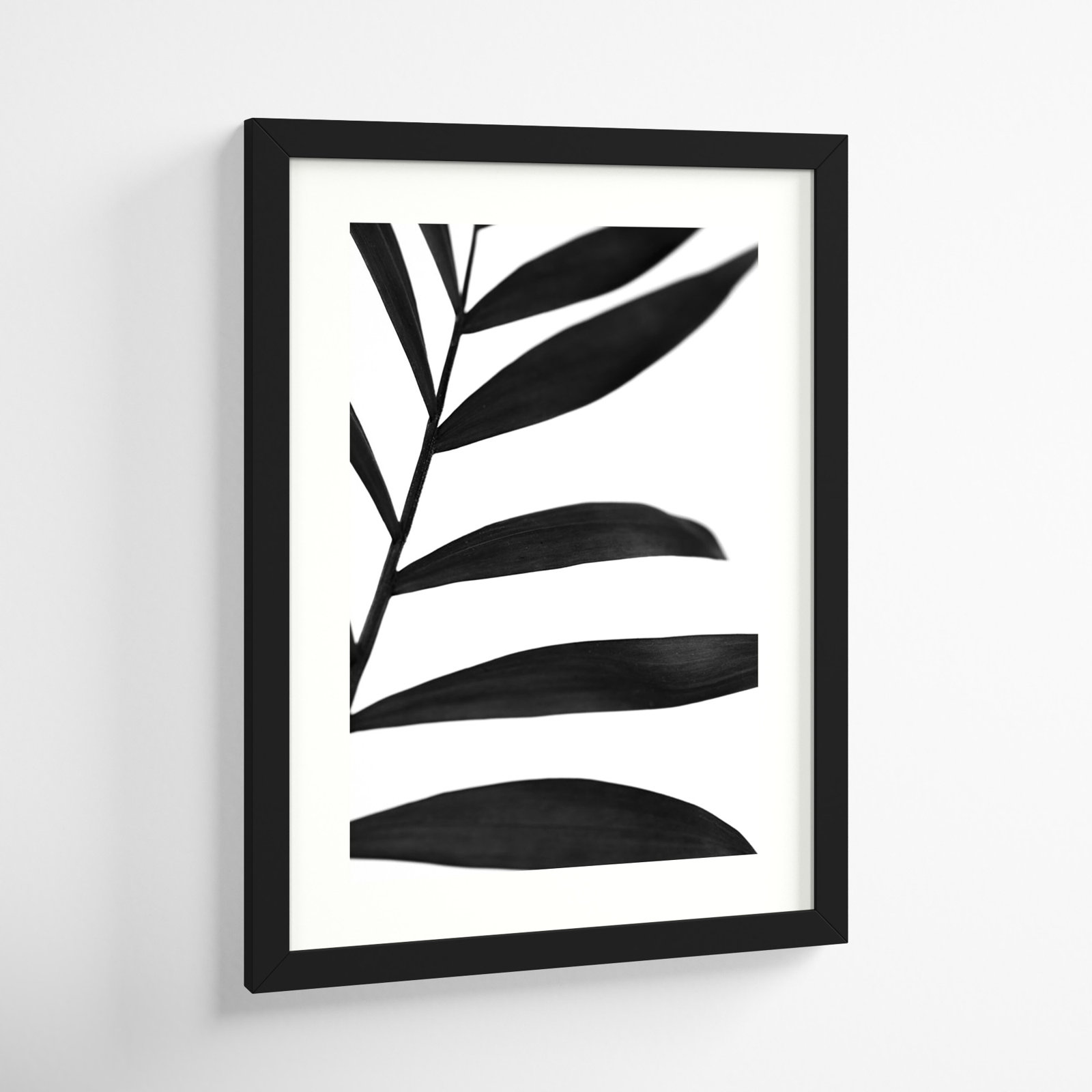 Black Palms V by W. Stramel, 20" H x 15" W, Black Framed Paper