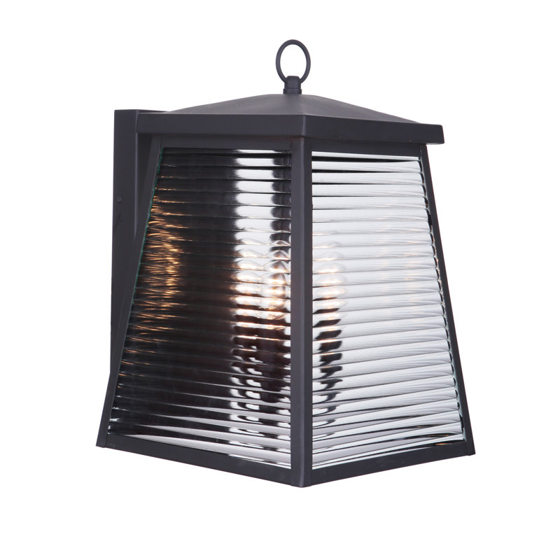Lylafaye Steel Wall Light, 15.88" H x 10" W x 11.75" D