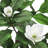Artificial Magnolia Flower Tree in Pot-526409312