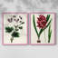 AntiqueFloralFolioIX - reproduction encadrée de qualité supérieure - prête à être accrochée - aucun clou requis - aucun clou requis-1289092262-1289092261
