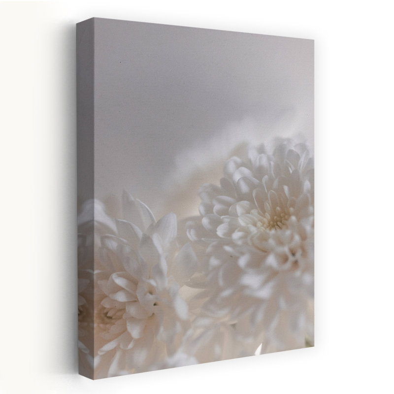 White Flowers 3 Abstract Contemporary Chrysanthemum Flower Nature Wall Art Print, 45.72cm H x 30.48cm W