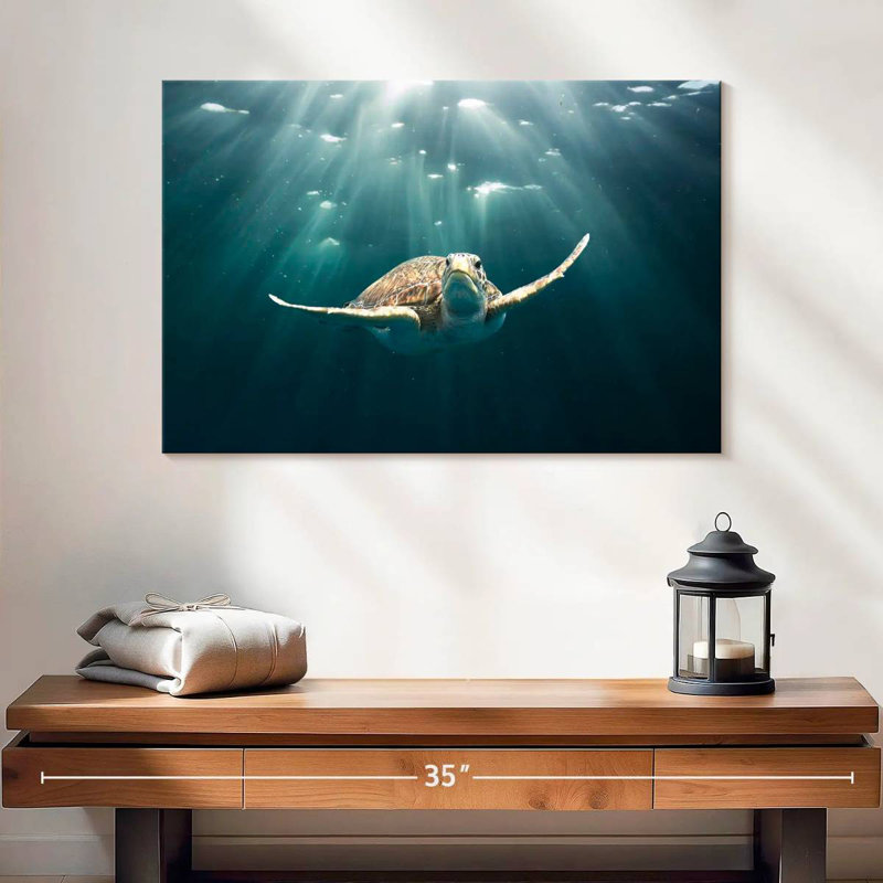 Brampt Red Sea Green Turtle, 16'' H X 24'' W