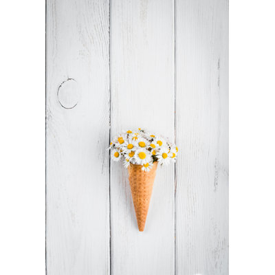 Daisy Flowers - Wrapped Canvas Print