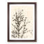 Birds in the Tree - Picture Frame Graphic Art Print-56862430-56862432