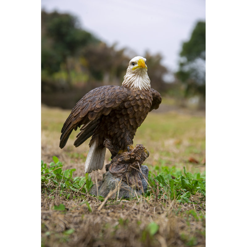 Hi-Line Gift Ltd. Motion Activated Singing Eagle