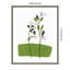 «Little Herb I» par Asia Jensen, reproduction d'art encadrée sur bois-100671848