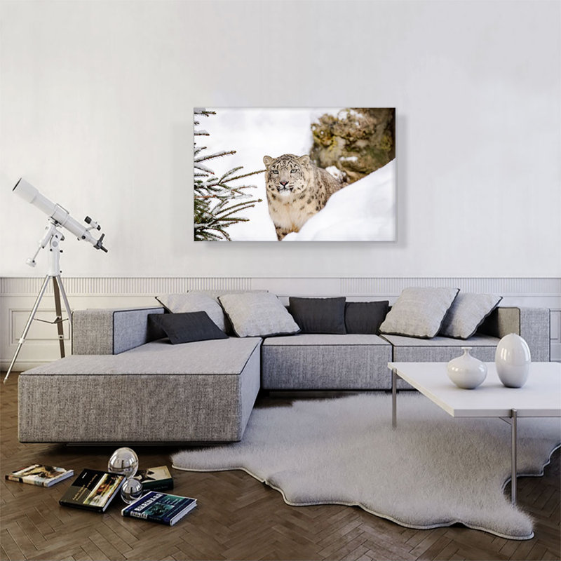 Snow Leopard - reproduction de photo sur toile tendue, H 26 po x l 40 po x 1,5 po