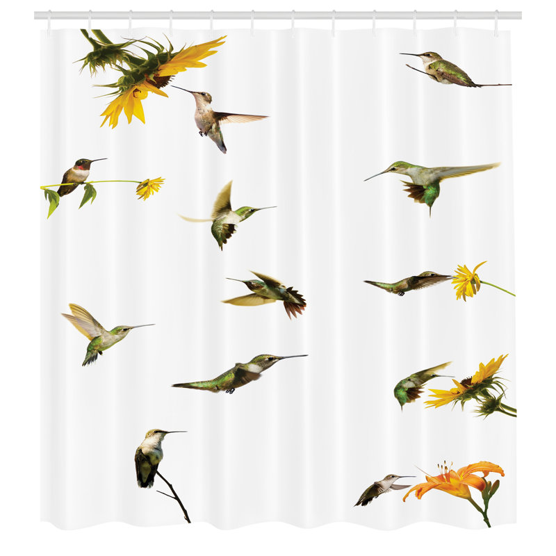 Ensemble de rideau de douche et crochets Hummingbirds, H 84 po x l 69 po