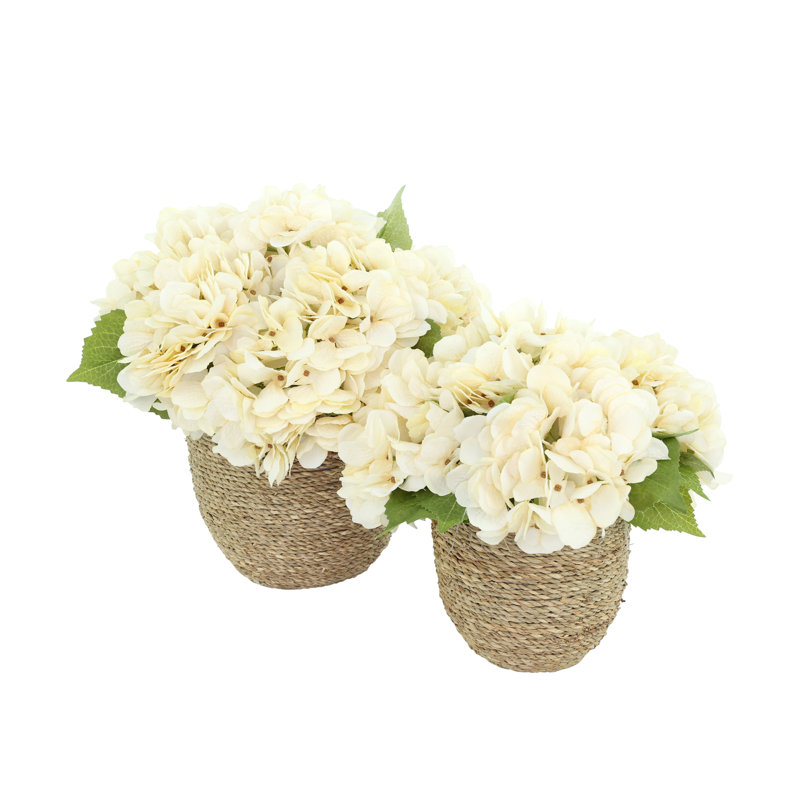 Arrangements floraux d'hortensias d'automne Carytown, Crème, crème