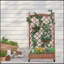 Raised Garden Bed with Trellis 2 Pack