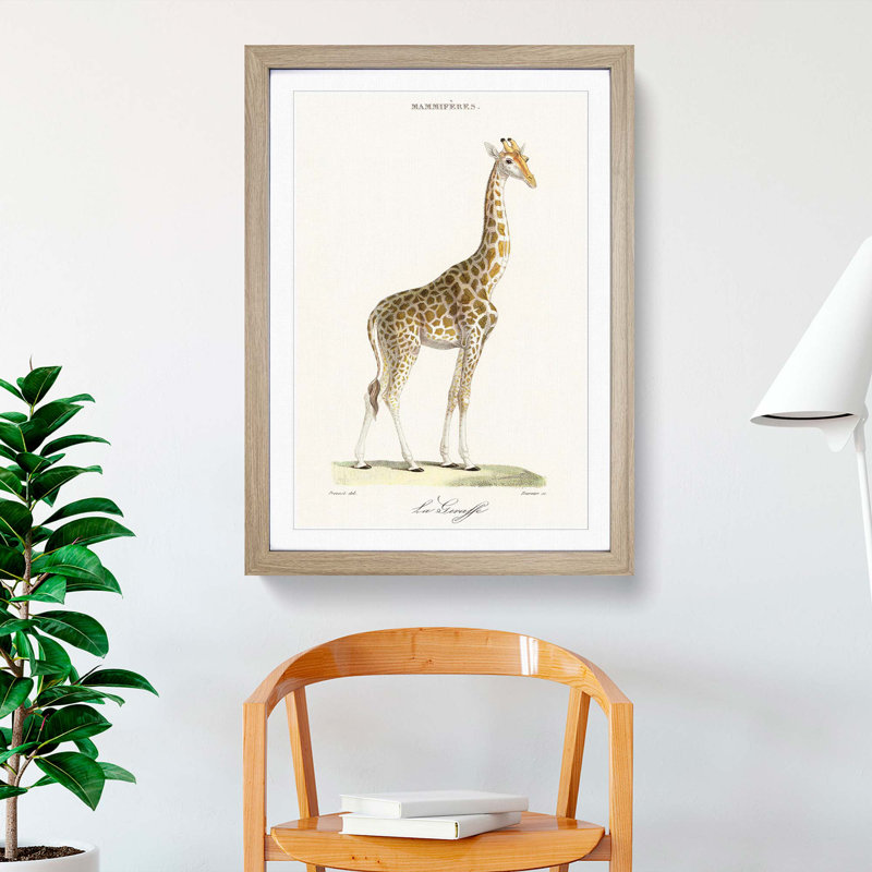 Giraffe by Florent Prevos - Picture Frame Painting Print, 65cm H x 48cm W x 2cm D, Oak Framed