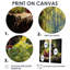 Cabernets calmes - grandes impressions sur toile de vin-4552855-4552854-4552858