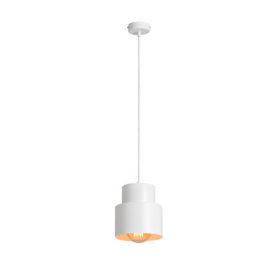 Lennie 1 - Light Single Pendant