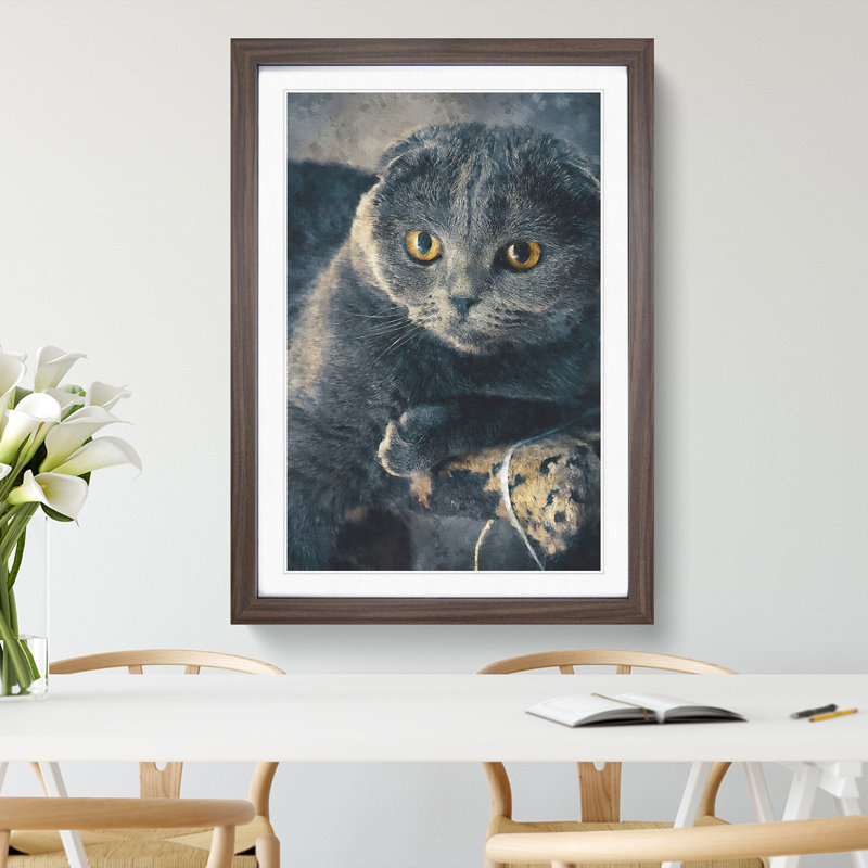 Scottish Fold Cat - Picture Frame Graphic Art, 65cm H x 48cm W x 2cm D, Walnut Framed