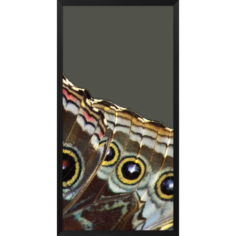 Wings 2' Framed Graphic Art Print on Glass