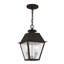 Lanterne suspendue d'extérieur 2 lumières Arnetria-22670196