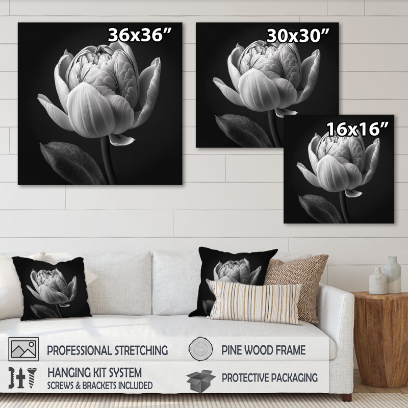 Gros plan sur une tulipe noire et blanche I - reproduction sur toile, H 30 po x l 30 po x P 1 po, Toile tendue